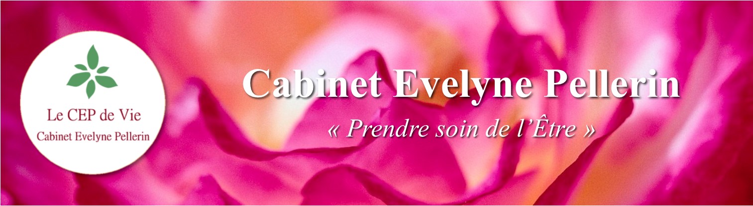 Cabinet Evelyne Pellerin